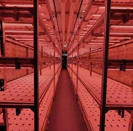 Quality Steel Cover Material Hydroponic Vertical Farming Container System for Shaped Roof wholesale