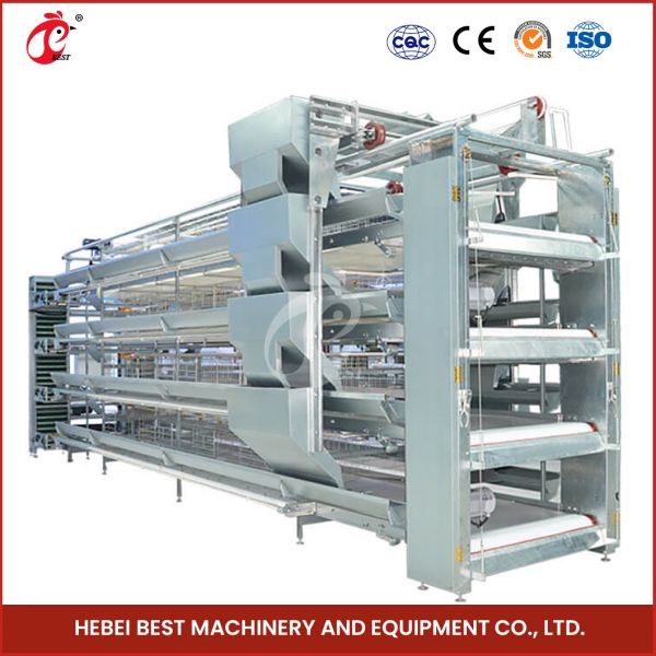 H Type 30000 Birds Automatic Egg Layer Chicken Cage With Manure Conveyor Belt