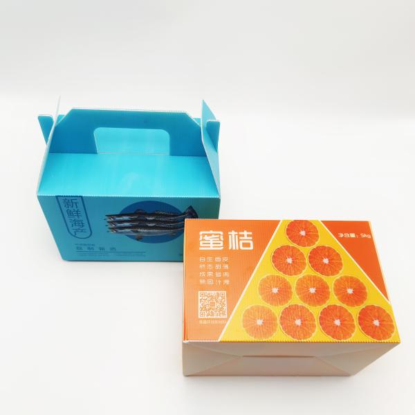 Quality 2.5-3.0mm Custom Corrugated Plastic Fruit Boxes For Packaging Fire Retardant wholesale
