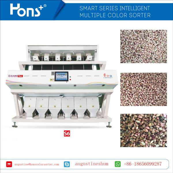Quality Nikon CCD Camera Peanut Kernel Color Sorter Nuts Sorting Machine wholesale