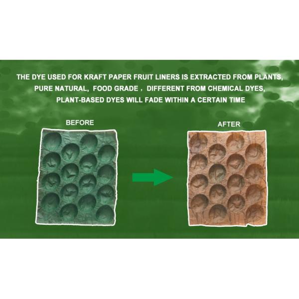 Wholesale 100% Biodegradable Kraft Paper Pulp Fruit Tray Liner Eco-Friendly Protection Packaging for Food Use