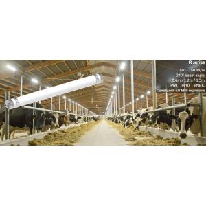 China Poultry Farm R Series LED Tri Proof Light 240 Degrees Ammonia Corrosion Resistance on sale