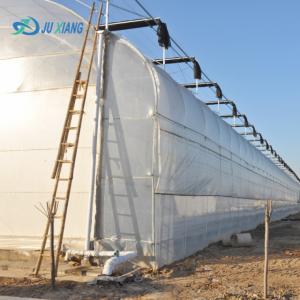 Custom Design and Double Arch Beam Greenhouse for Tomato/Cucumber Growing Large