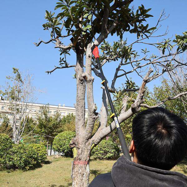 Quality Essential Tool Professionals Adjustable Telescopic Pole Chainsaw For Tree wholesale