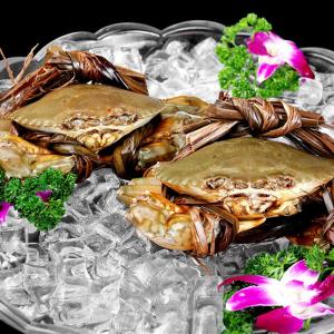 Filling Capacity 800g LZ-3300 Commercial Cube Ice Maker for Daily Ice Production