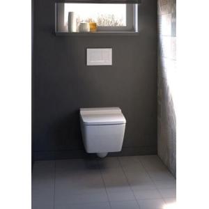 Standard Full Frame Concealed Cistern - Rectangular for Efficiency