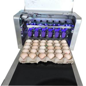Digital Egg Marking Equipment / Egg Date Stamp Machine For Duck or Pineal Eggs