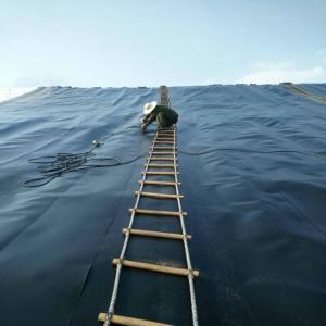 ASTM GRI-GM13 Standard 1mm HDPE Geomembrane for Fish Pond and Landfill Applications