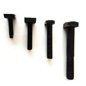 Grade 12.9 Railway Track Fasteners , M25 Railroad Track Bolts And Nuts ODM