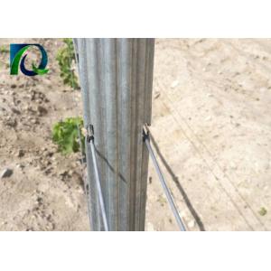 Q235 Steel Galvanized Orchard Trellis Systems For Grape / Fruits Customized