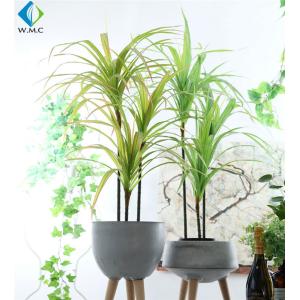 Dracaena Cinnabari Artificial Potted Plants , Green Dragon Tree Bonsai