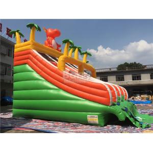 PVC Dinosaur Double Inflatable Water Slide For Pool With Landing Bed