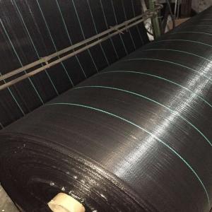 Cheap PP Split Tape Pp Woven Geotextile Fabric for cofferdam geotube for sale