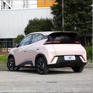 2024 Byd Seagull EV Long Range High Speed Electric Car in Pink Color with 1500mm