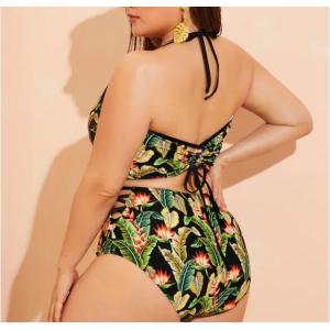 2019 New Plus SizeTwo piece Swimsuit Women Push up