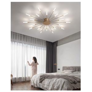 Nordic fireworks ceiling lamp bedroom living room LED black ceiling lights
