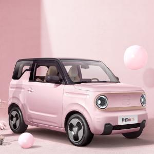 Budget-Friendly Geely Panda Mini EV 1940mm Wheelbase and Maximum Torque 85N.m