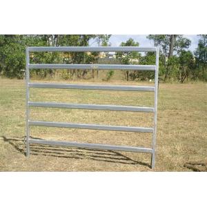 1.8 x 2.1MHeavy Duty Used Cattle Yards For Sale Cattle Yard Fencing 6 Oval