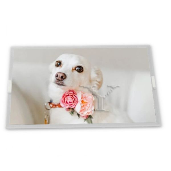 Quality EDP 15 Inch 1024*768 G150XAN03.0 Lcd Display Modules wholesale