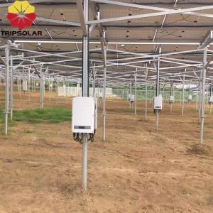 Ground Mounted Solar Module Mounting Structure Snow Load 1.5KN/m2 and Wind Load