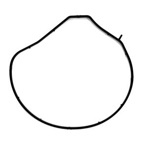 Cheap 60 Sh 70 Sh Hydrogenated Nitrile O Ring Water And Oil Resistance Hnbr O Ring for sale