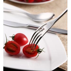 Mirror Polish 1810 Silverware