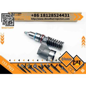 Carter C12 3176b Construction Machinery Engine Injector Assembly 153-7923 0r