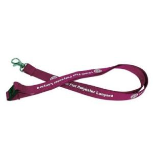 China Promotional Nice Looking Silk Screen Lanyards With Metal Hook And Safety Clasp on sale
