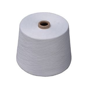 Raw White Spun Style Polyester Sewing Thread Colorful 20S/3 For Dyeing