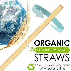 Customized Design Biodegradable Paper Drinking Straws Earth Friendly BAP Free