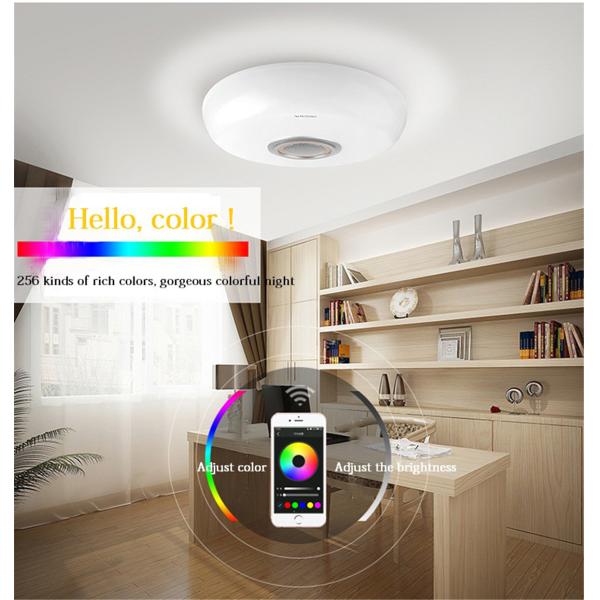 Smart Wi-Fi Ceiling Lamp
