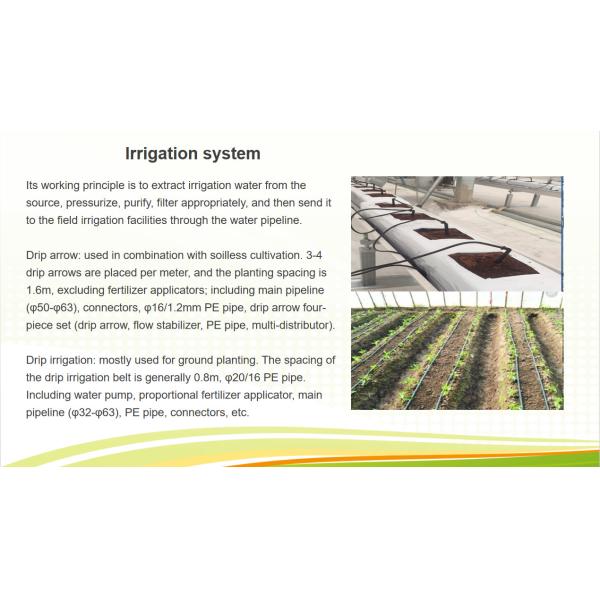 Commercial Multi Span Greenhouse Plastic Film Greenhouse For Vegetable Growing