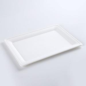 Hot Selling Fast Delivery platos desechables takeaway plateau disposable plates