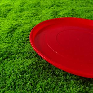 Lightweight Red Circular Poultry Feeding Tray Durability for Farms/ Retail