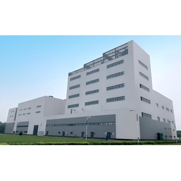 Professional Thermal Power Plant Equipment Steel Structure Platform Anti Corrosion