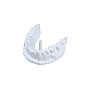 Highly Pigmented Dental Modeling Resin for Realistic Dental Models