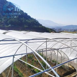Vegetables Multispan Poly Tunnel Greenhouse With Cooling Ventilation System