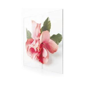 Led mesh screen display EXCEL LED