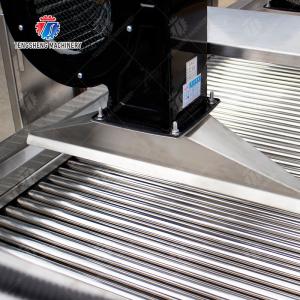 Fruits cleaning and drying production line Fruit Vegetable FOOD processing