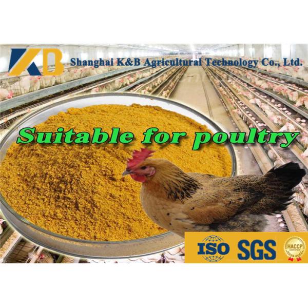 Direct Additive Grower Finisher Chicken Feed / Meat Chicken Feed 65% Protein