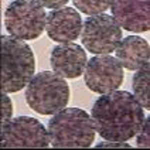 1 mL Agarose NHS Magbeads Preactivated N - Hydroxy Succinimide Nanoparticle