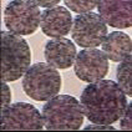 Quality 1 mL Agarose NHS Magbeads Preactivated N - Hydroxy Succinimide Nanoparticle wholesale