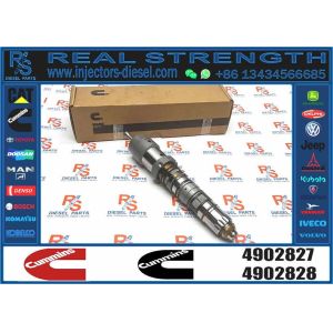 Factory Remanufactured Diesel Fuel Injector Model 4902827 4902827NX 4902827PX