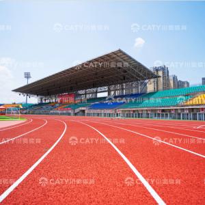 Porous Permeable Running Track, Quick-Drain All-Weather Surface with Elasticity