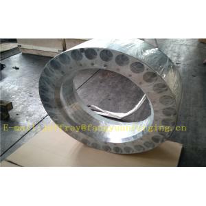 Customized Stainless Steel Forged Flanges F316L F304L F51 F53 F60