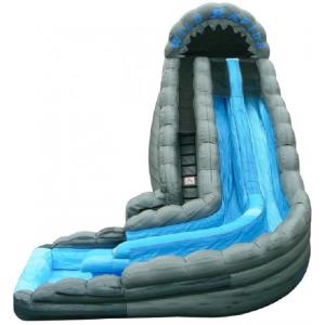 Gray Inflatable Water Slides Big Double Lane Wild Rapids With Pool