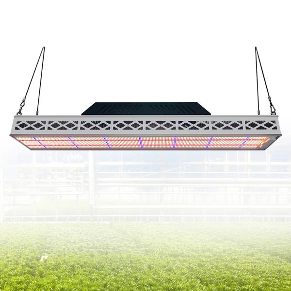 Quality Module Top LED Grow Lights 640W Full Spectrum LED Grow Lamp For Indoor Plants wholesale