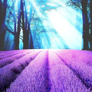 Heat Proof Custom Printed Roller Shades Patterns Customizable With 38mm Tubes