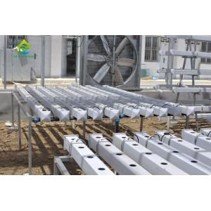 Indoor Farming Custom Soilless NFT Hydroponic System Nutrient Solution