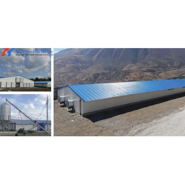 Poultry Farm Chicken Feeding Line Automatic Poultry Pan Feeding System